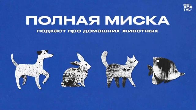Полная миска | Подкаст про домашних животных | Как выбрать собаку? смотреть онлайн