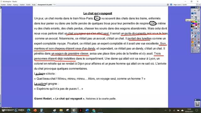 Redaction changement de point de vue narratif le chat смотреть онлайн