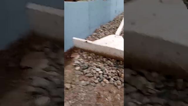 отмостки на совесть