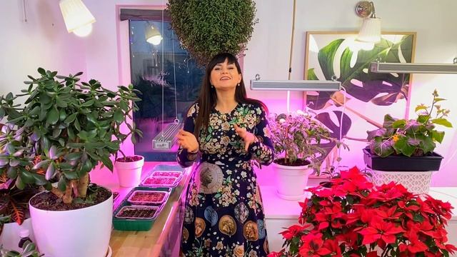 КАК ИЗБАВИТЬСЯ ОТ ЗЕЛЕНОГО НАЛЕТА НА ГРУНТЕ? смотреть онлайн