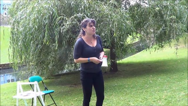 «Эмигрантская лира-2016». Наталья Резник (США) (2) смотреть онлайн