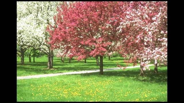 сельская песня. Плещеев А.Н. смотреть онлайн