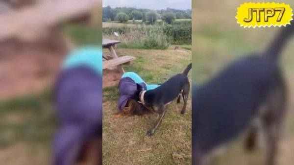 Лучшие приколы? №40 ?? BEST ржака ?
https://youtube.com/@JokesTITpro
https://vk.com/JokesTITpro