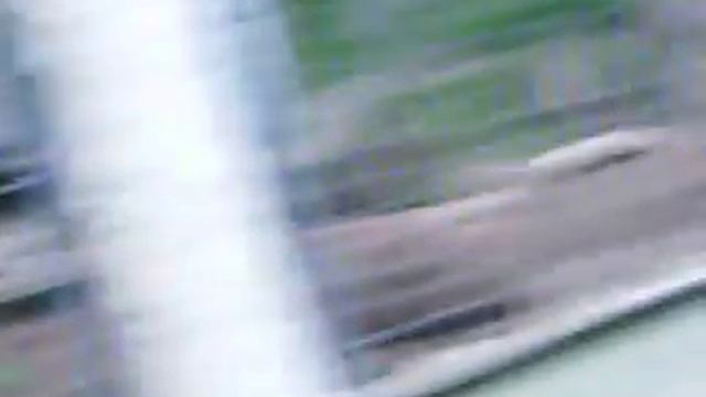 Savage cougars vs dog at the San Diego zoo смотреть онлайн