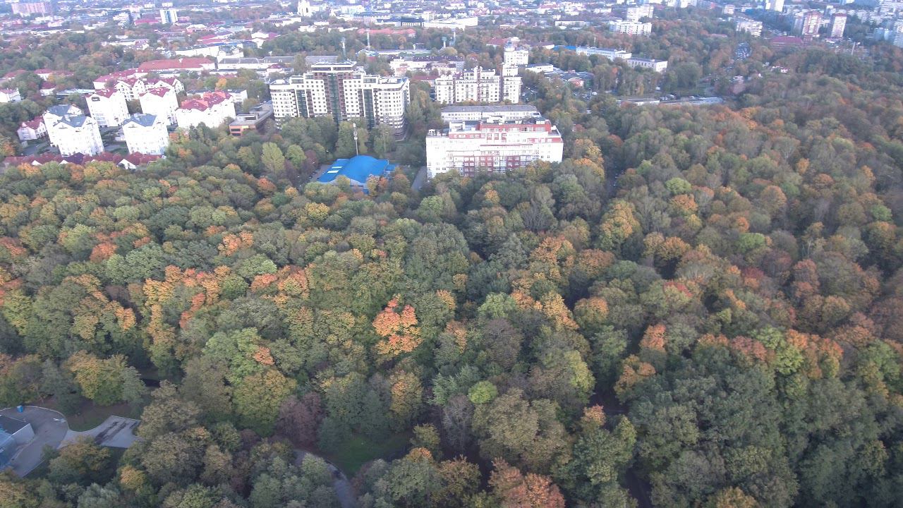 Центральный парк Калининграда смотреть онлайн
