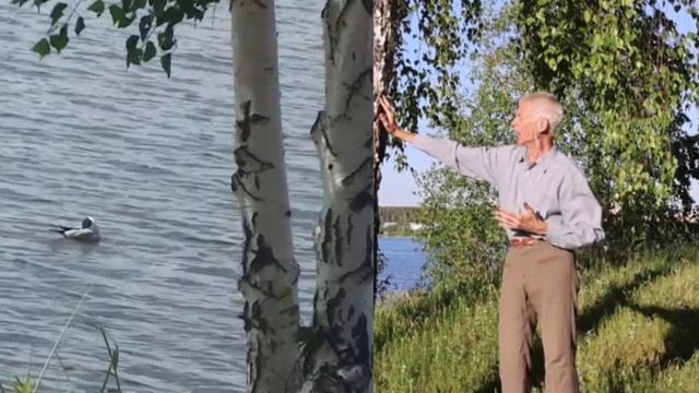 Берёзы, песня патриотического содержания о любви к России. смотреть онлайн