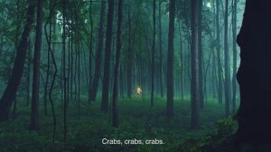 Everybody loves crabs. Echo