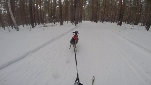 "Каменный Пояс", г.Полевской, 15-16.02.20 смотреть онлайн