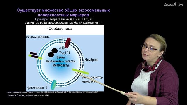 Зверева М.Э. - Внеклеточные нуклеиновые кислоты - 2. Открытие и функции внеклеточных НК смотреть онлайн