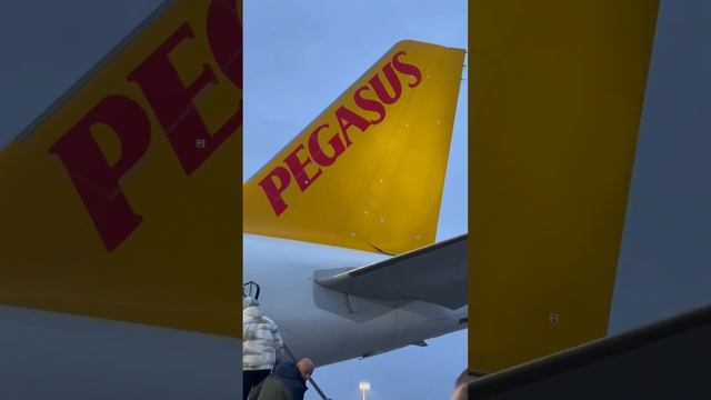 Подробный пост в Инстаграм ✌️Здесь не влезает #Skidki_de #Германия #РоссияГермания смотреть онлайн