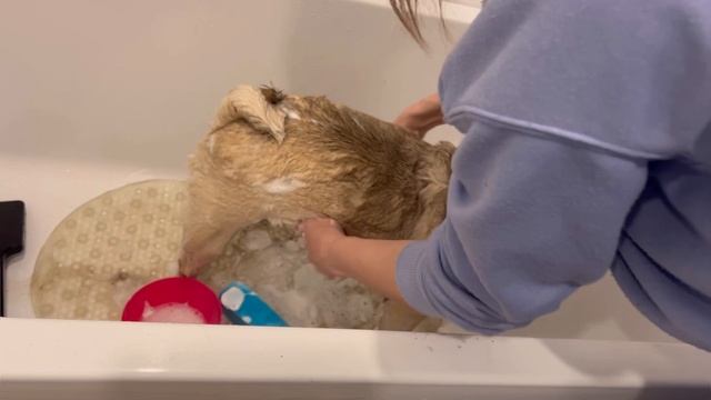 Дом и Тренды Дизайна