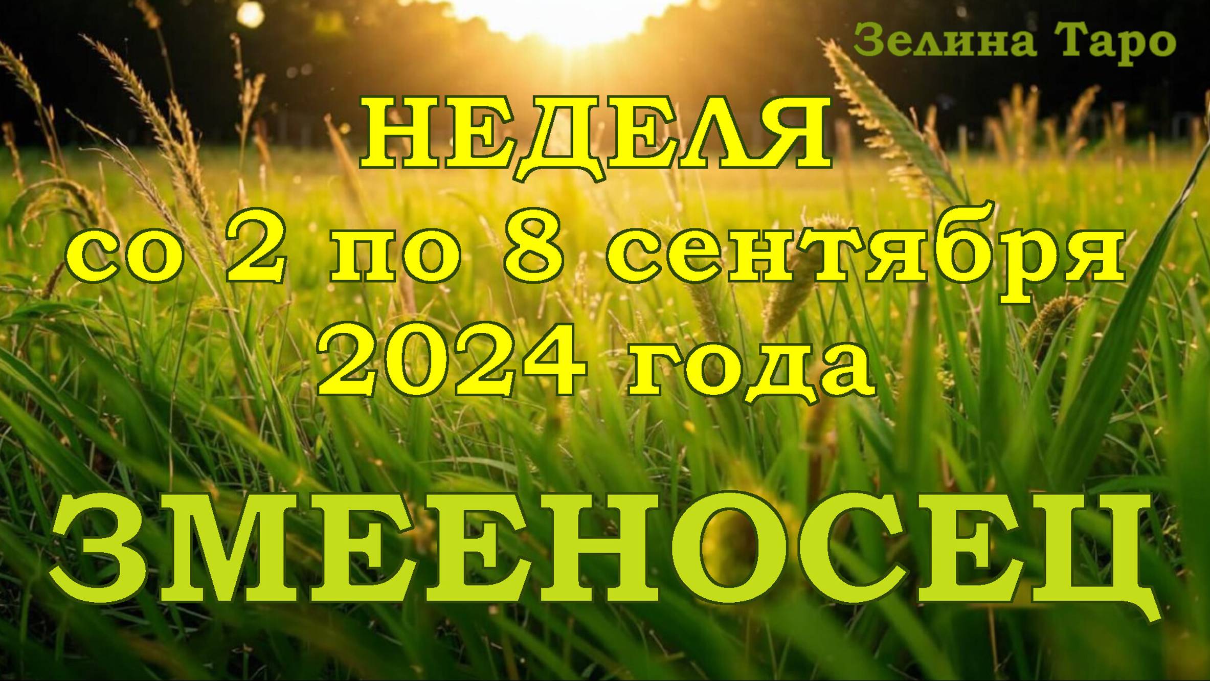 ЗМЕЕНОСЕЦ | ТАРО прогноз на неделю со 2 по 8 сентября 2024 года