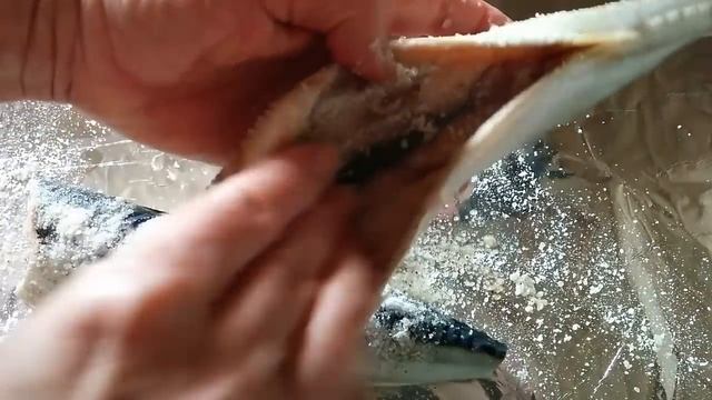 Малосольная_скумбрия_в_домашних_условиях.mp4 смотреть онлайн