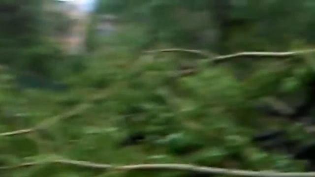 Ураган в Нижнем Тагиле смотреть онлайн