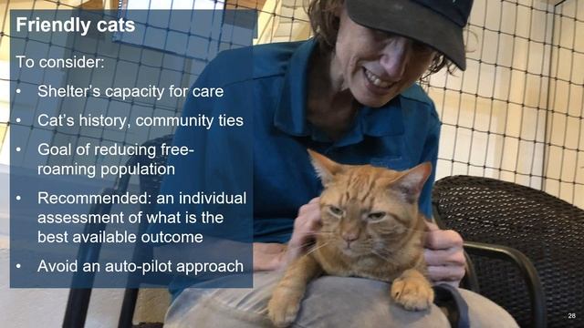 Return-to-Field & Targeting: The Community Cat Program Presented By Neighborhood Cats