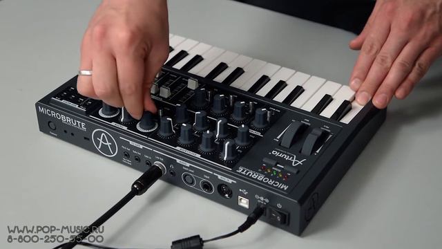 ARTURIA MICROBRUTE - аналоговый синтезатор по доступной цене смотреть онлайн