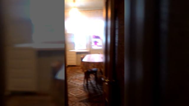 Сдаю 1 комн.квартиру смотреть онлайн