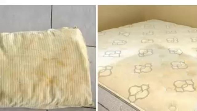 Учим Делать с Преданностью