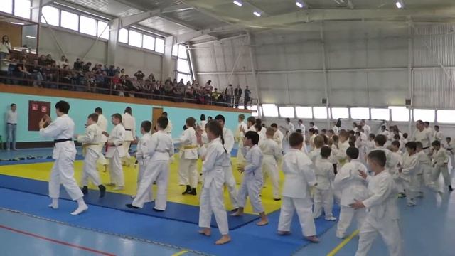 Разминка - ирими тенкан смотреть онлайн