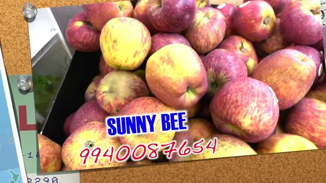 SUNNY BEE FURIST VEGETABLE MART 9940087654
