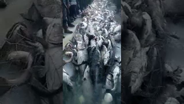 Рыбалка на пруду fishing in Kazakhstan смотреть онлайн