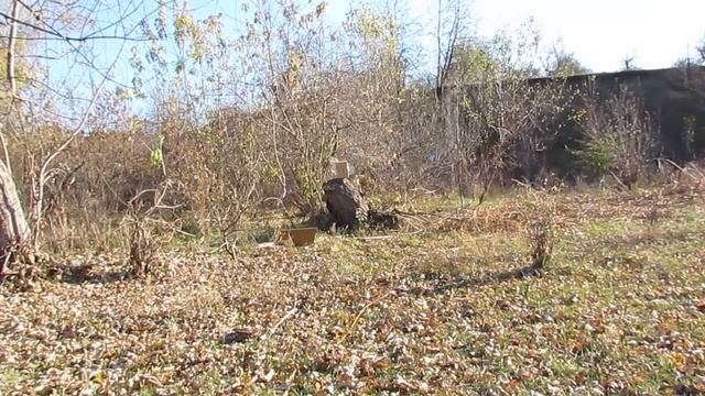 Тест пуль 223его калибра и картечи с пулями 12ого ... смотреть онлайн