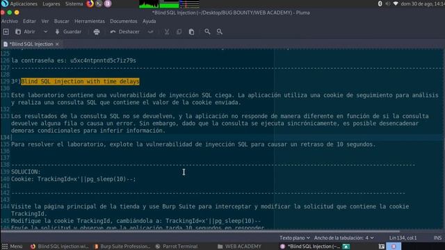Blind SQL injection with time delays смотреть онлайн
