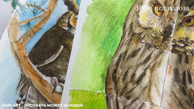 ОБЗОР акварельные карандаши LYRA REMBRANDT AQUARELL - все плюсы и минусы! смотреть онлайн