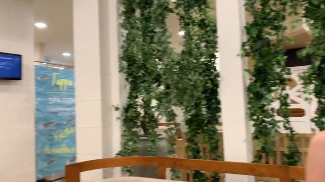 Влог: Курорт Баден Баден в 2022 смотреть онлайн