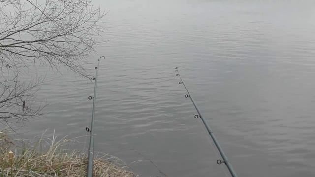 Ловля крупной плотвы на р.Ока! смотреть онлайн