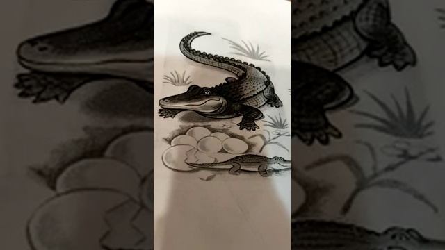 Вера Чаплина "Питомцы зоопарка" Крокодилы смотреть онлайн