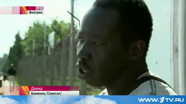 Тысячи беженцев пешком отправились из Венгрии в Австрию, отказавшись остаться во временных лагерях смотреть онлайн