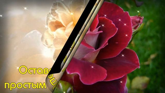 Поздравление с Днем Рождения женщине! смотреть онлайн