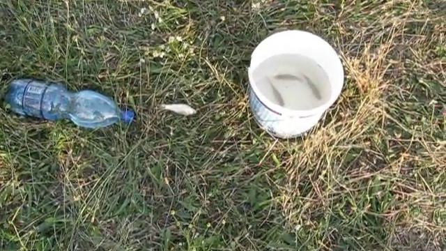 Рыбалка супер. Здоровенный карась. Саша Казаков поймал карасика-июль 2010.AVI смотреть онлайн