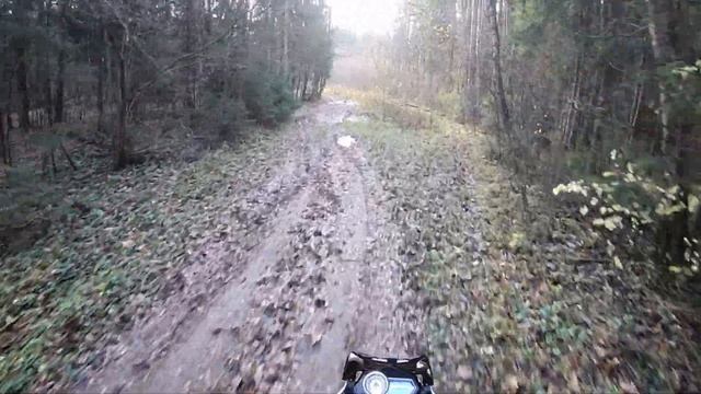 По осеннему лесу на Racer Ranger 300