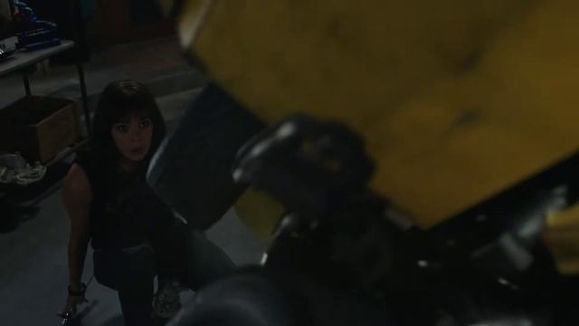 ИСТОРИЯ БАМБЛБИ