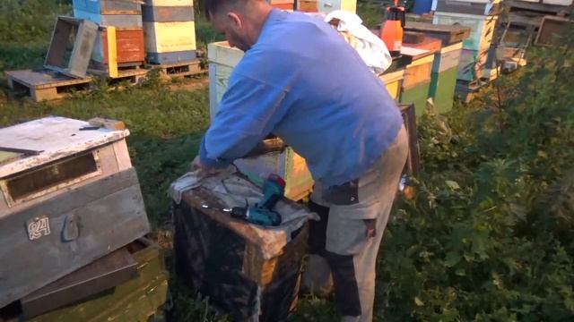 Хотите завести пчел, но нет денег..... Часть №3 "Снятие роев" смотреть онлайн