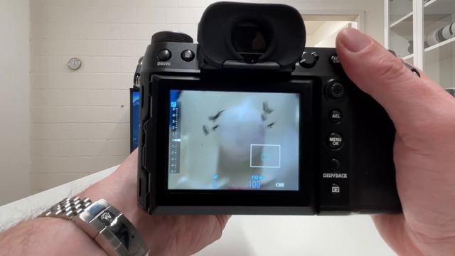 LEICA APO-MACRO-ELMARIT-R 100 F2,8 On FUJI GFX 100s: SHARP, SHARPER, SHARPEST!