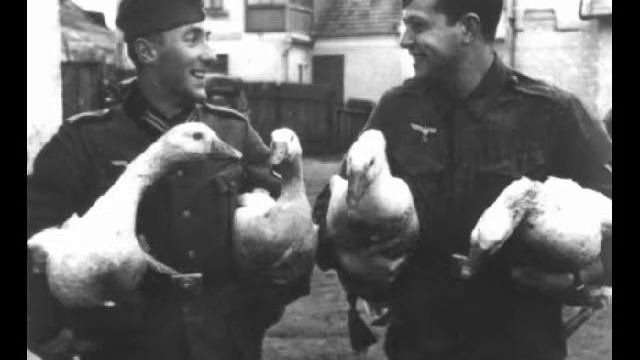 Шандриков В Элениум прими смотреть онлайн