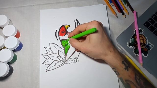 How to draw parrot \\ Как нарисовать попугая смотреть онлайн