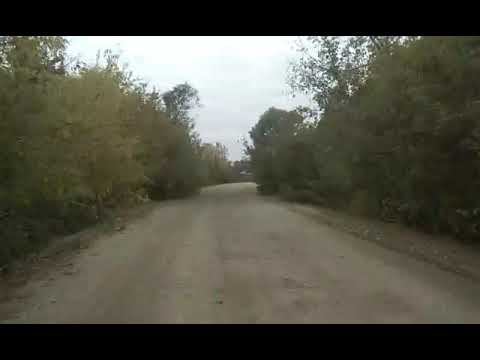 Едем на Березовку Петровского района)