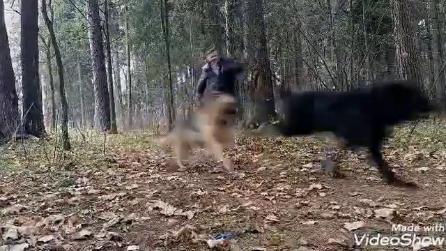 Любовь навсегда. смотреть онлайн