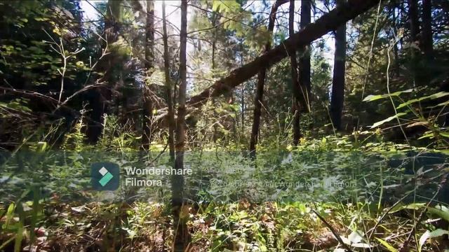 красивый клип с расслабляющей музыкой для медитации сна и отдыха смотреть онлайн