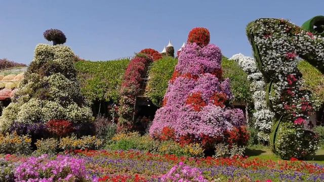 Парк цветов в Дубае- Dubai Miracle Garden? смотреть онлайн