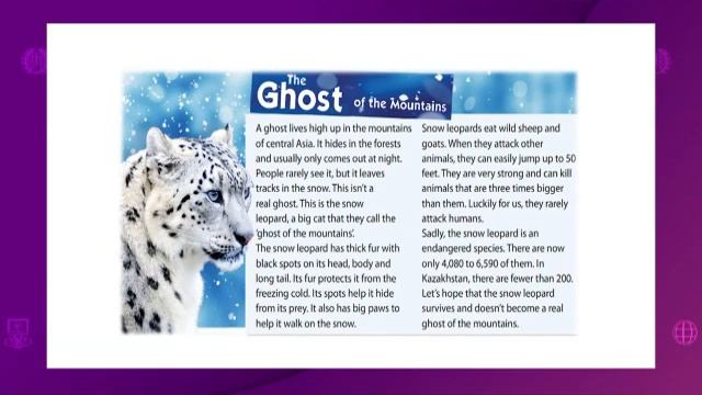 Английский язык. 5 класс. Animals: the ghost of the mountains /25.02.2021/ смотреть онлайн