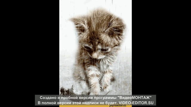 мой первый монтаж