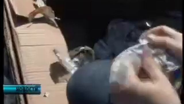 Икра черная смотреть онлайн