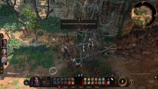 Baldur's Gate 3 | Barbarian | Gold Dwarf | part 5 смотреть онлайн