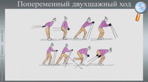 Физическая культура 7 класс (Урок№23 - Способы двигательной деятельности. Лыжная подготовка.)