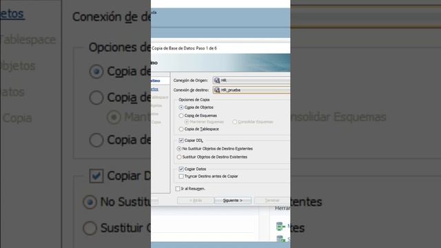 Tip #2 SQL Developer - Copias de base de datos. смотреть онлайн